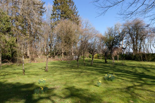 Crossways, Wincanton photo 3