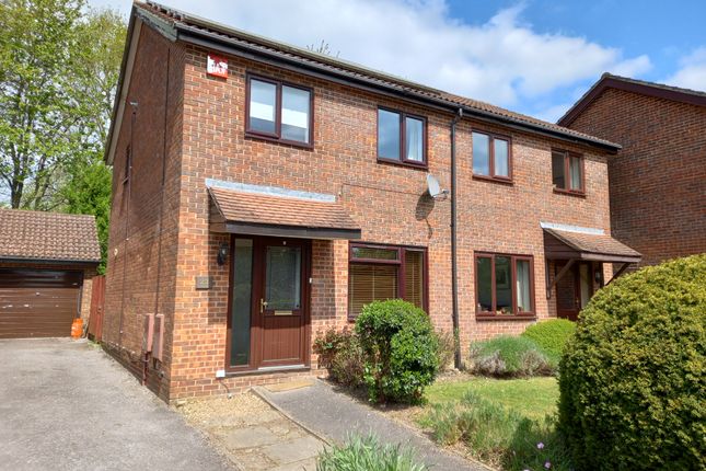 homes-for-sale-in-petersfield-buy-property-in-petersfield-primelocation