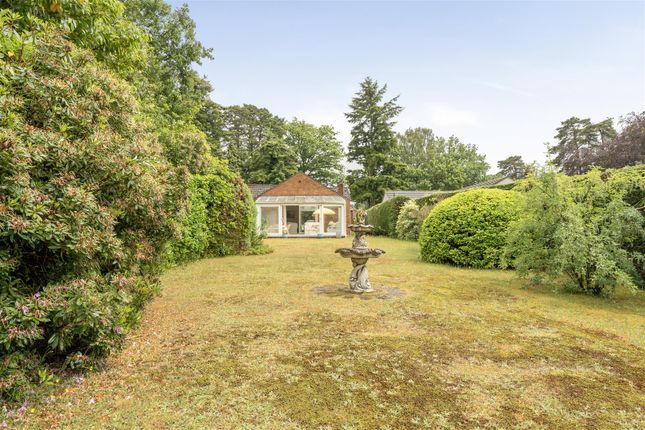 6, Furze Hill Road, Headley Down photo 4