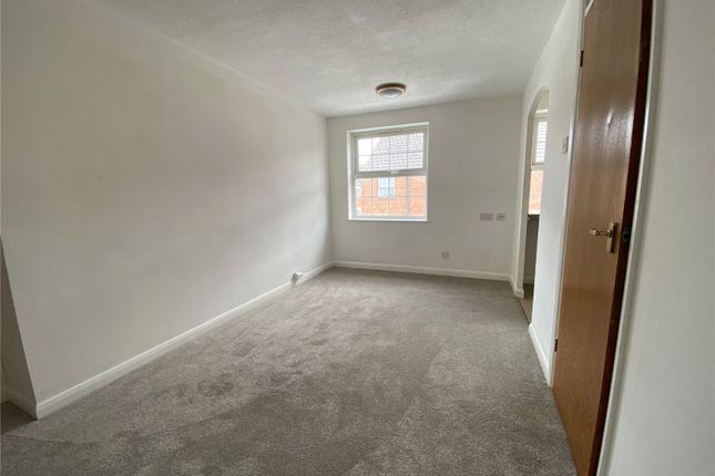 Taunton photo 3