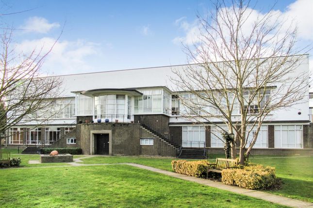 Lime Grove Enhanced.Jpg