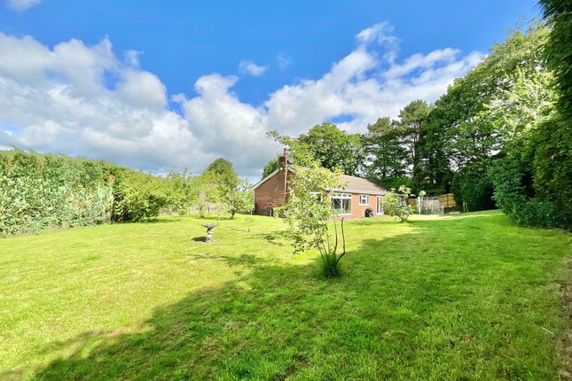 3a Newcastle Road, Market Drayton photo 4