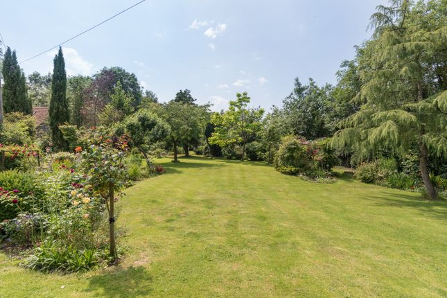 Detached house for sale in Chapel Lane, Rhodes Minnis, Canterbury, Kent