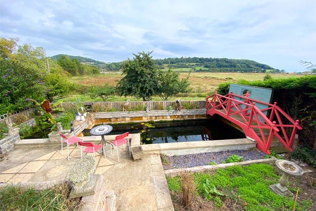 3, Hillymead, Seaton photo 2