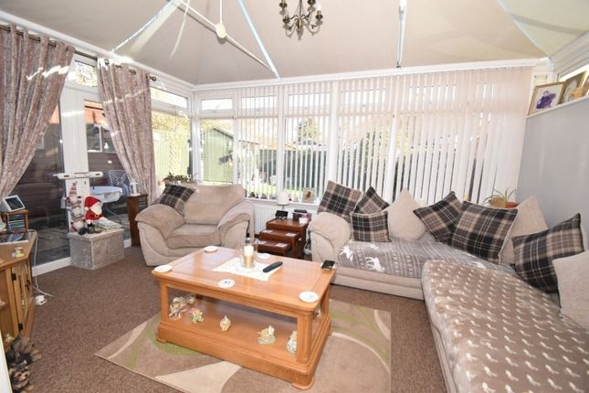 48, Summer Lane, Exeter photo 4