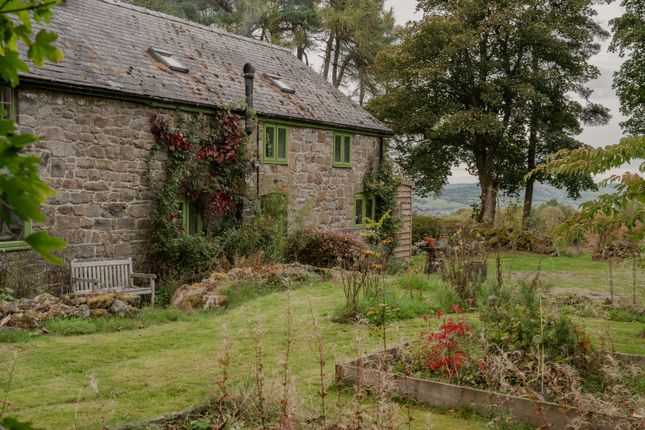 314788 - _A742155.Jpg