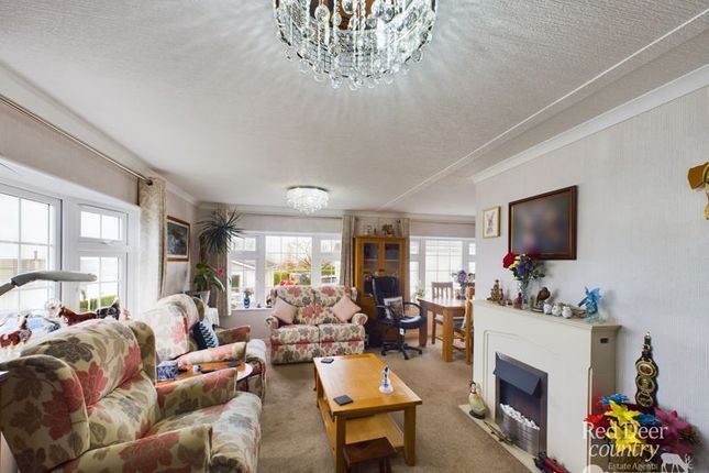 21, The Tides, Watchet photo 4