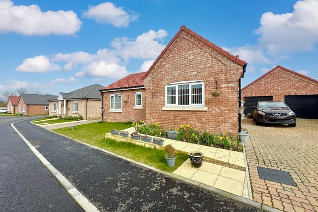 Thumbnail Detached bungalow for sale in Starkings Road, Martham, Great Yarmouth