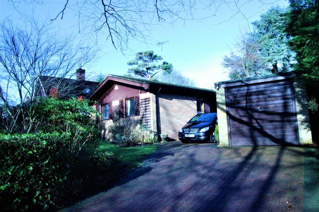 Thumbnail Bungalow to rent in Highclere Drive, Camberley