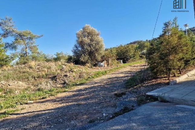 Land for sale in Pr39491: Field (Share), Psevdas, Larnaca, Cyprus