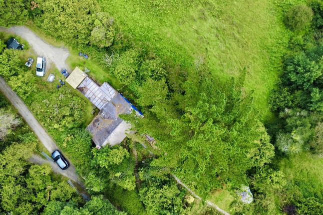 Dji_Fly_20250806_134526_543_1754524487159_Photo_Op
