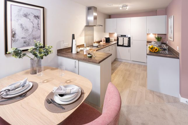 Typical Kitchen