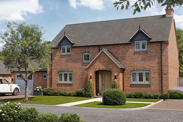 Computer Generated Image