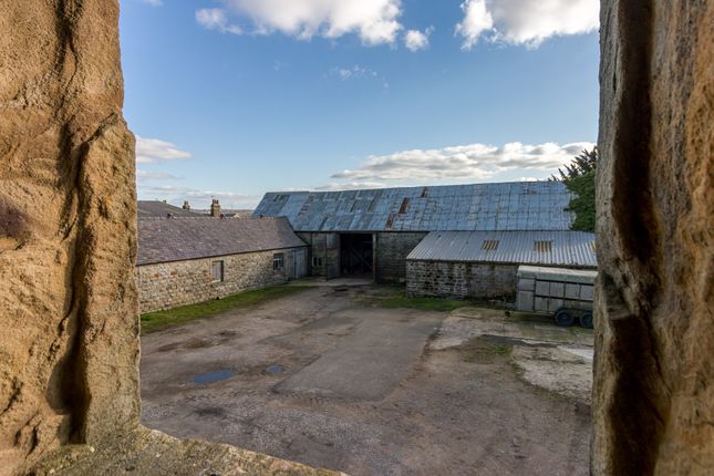 Kexborough Hall Farm