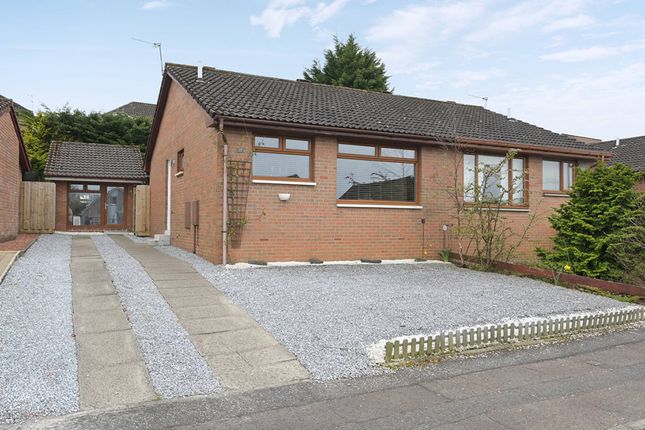 Belmont Avenue, Falkirk photo 3