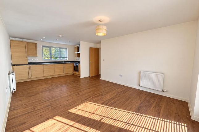 29, Cambridge photo 2