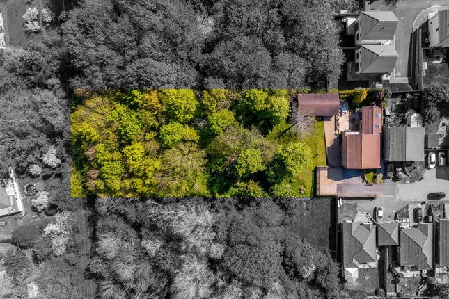 5, Highsted Park, Peacehaven photo 3