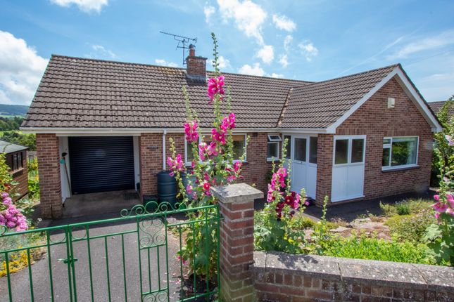 Thumbnail Bungalow for sale in Winters Lane, Ottery St. Mary