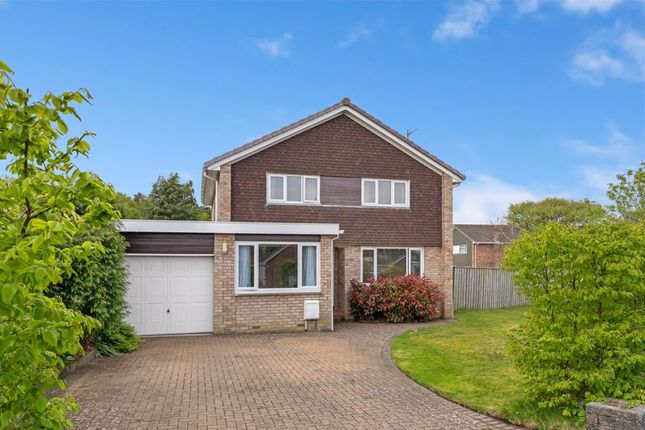 Thumbnail Property for sale in Piperhill, Ayr