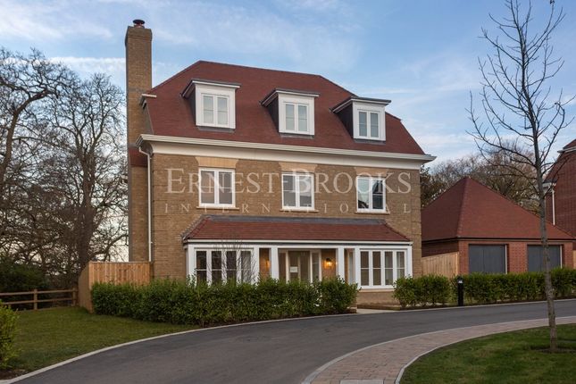 Thumbnail Detached house to rent in Lushington Drive, Barnet