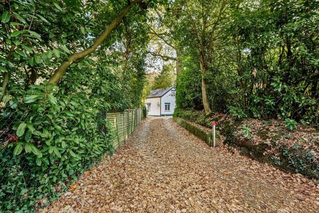3-bed house on Owlpen, 148, Burley Road, Bransgore Christchurch, £900,000