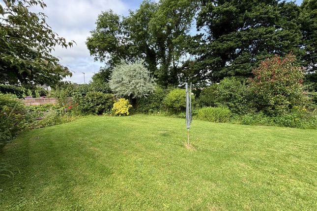 33 Lamb Park, Lamb Park, Newton Abbot photo 2