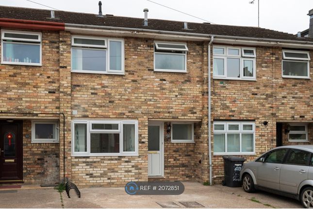 Thumbnail Terraced house to rent in Cyprus Road, Cambridge