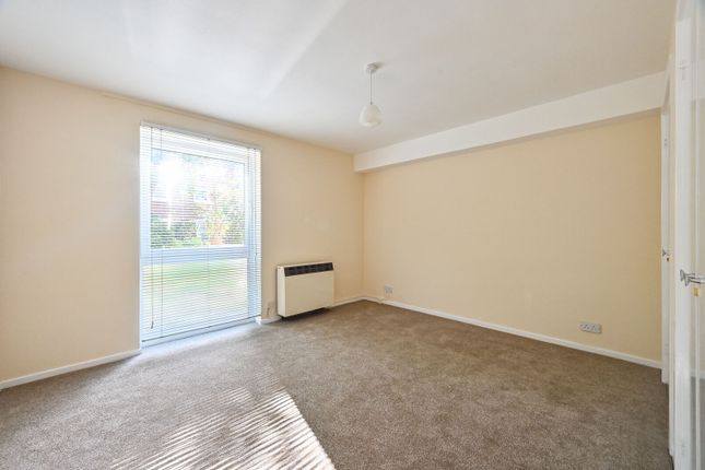 Regent Square, E3, Bow photo 4