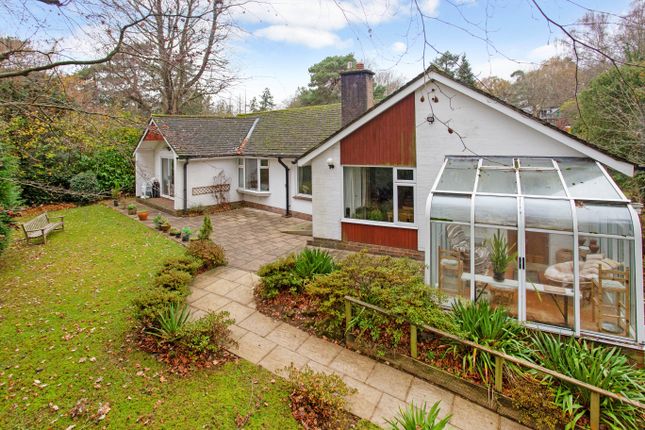 Thumbnail Detached bungalow for sale in Martineau Drive, Dorking