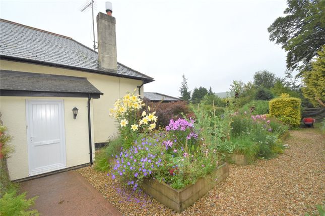 Thumbnail Semi-detached house to rent in Landacre, Withypool, Minehead, Somerset