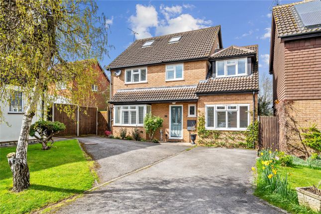 Thumbnail Detached house to rent in Pirton Close, St. Albans, Hertfordshire