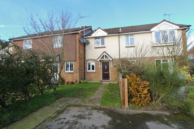 Thumbnail Terraced house to rent in Wheatear Drive, Petersfield