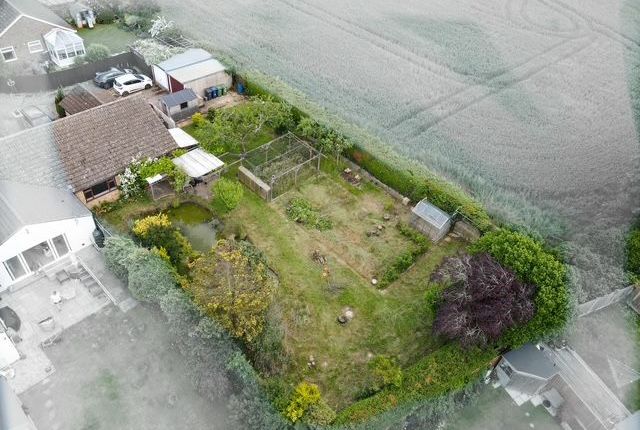 Blenheim Grove, St. Neots photo 2