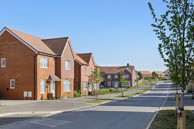 Leaf Living at Liberty Place, Hailsham, BN27, Hailsham photo 4