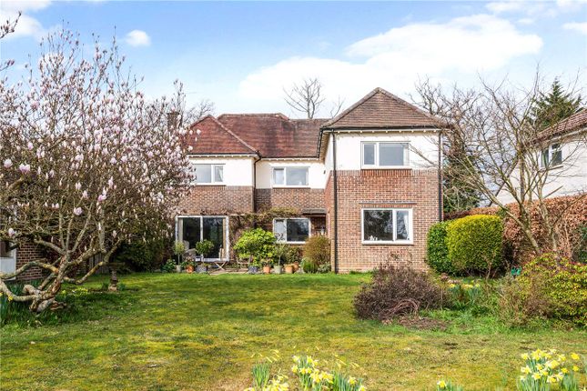 3, Bell Hill Ridge, Hampshire photo 4