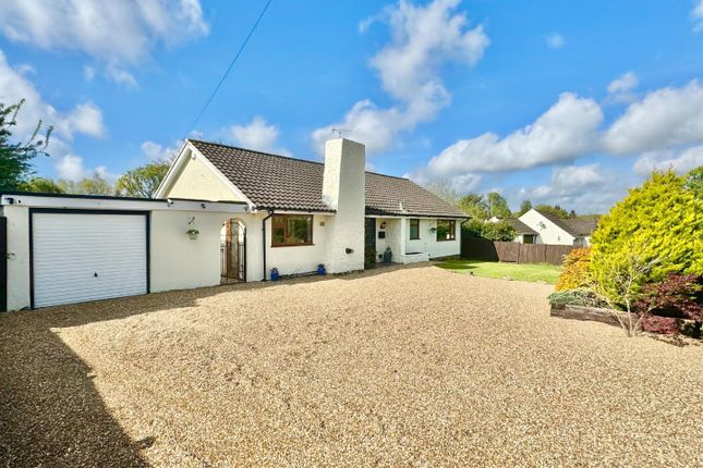 Detached bungalow for sale in Aldington Frith, Ashford, Kent