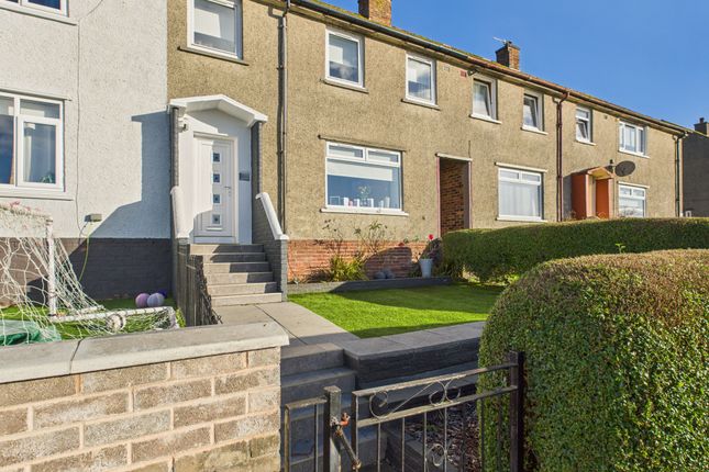 Cam05526G0-Pr0070-Still002