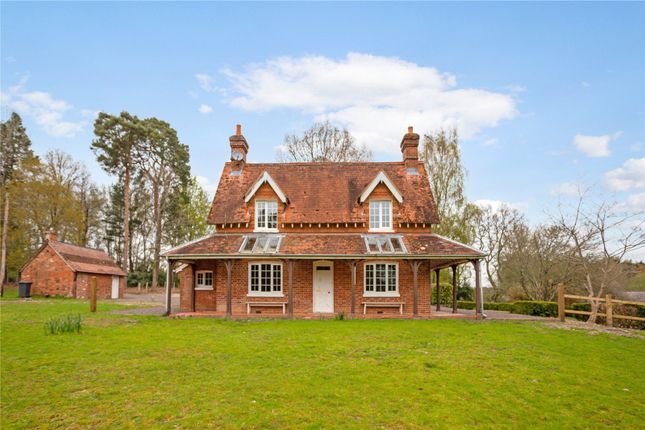 Thumbnail Detached house to rent in Hamptworth, Salisbury, Wiltshire