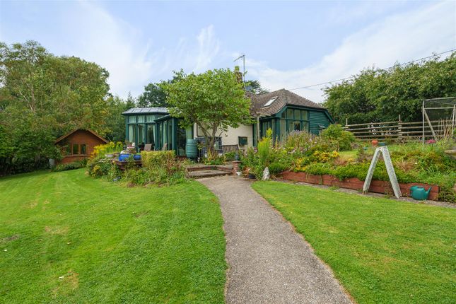 Detached bungalow for sale in Poplar Hill, Shillingstone, Blandford Forum