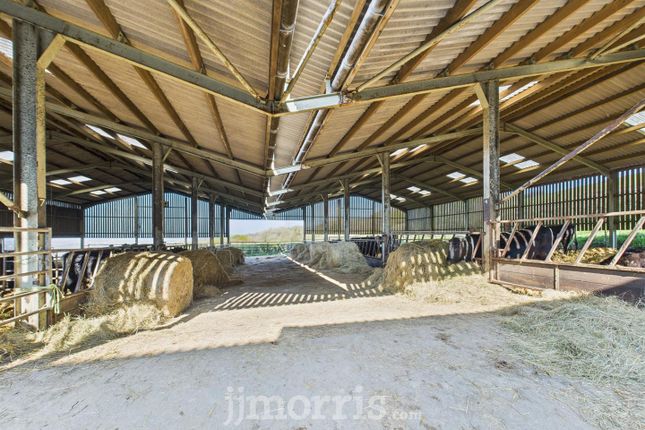Livestock Housing