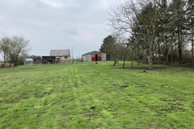 Detached bungalow for sale in Straight Drove, Coveney, Ely
