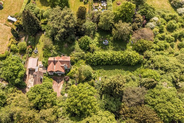 White Cottage, Tadworth photo 3