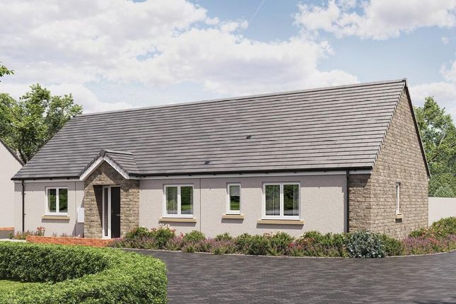 Plot 46, Heathstock Rise, Oake, Luxton Way, Taunton photo 2