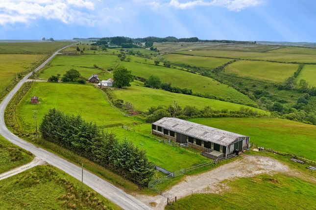 Blaengorlech Fach, Gwernogle, Carmarthen photo 4