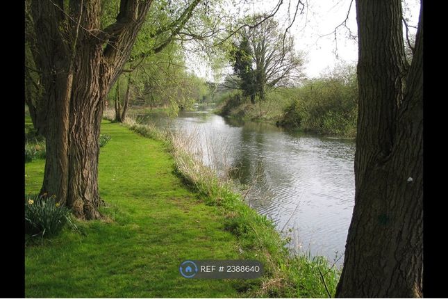Part Of The Long Stretch Of Private Riverside Bank