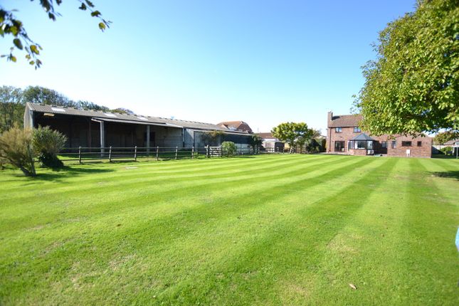 BARTON MANOR FARM, Barton Road, Berrow, Burnham-on-Sea photo 2