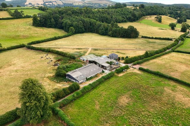 Bronallt, Llangadog, Carmarthenshire photo 3