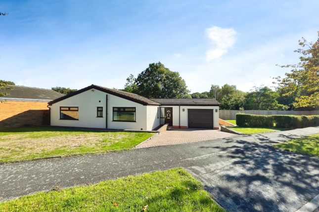 Baed8480--427D-8B30-C1Af27089E0B-53334-0000078D21B