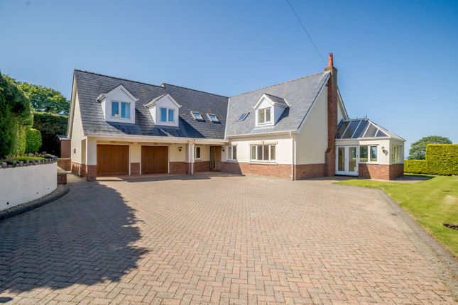 Thumbnail Detached house for sale in Gorsedd, Holywell, Clwyd
