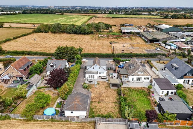 Arizona, Burnt Mills Road, North Benfleet photo 2
